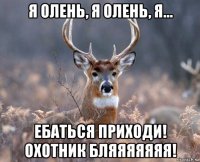 я олень, я олень, я... ебаться приходи! охотник бляяяяяяя!