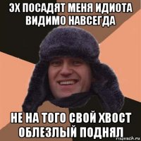 эх посадят меня идиота видимо навсегда не на того свой хвост облезлый поднял