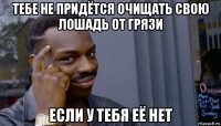 тебе не придётся очищать свою лошадь от грязи если у тебя её нет