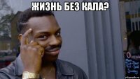 жизнь без кала? 