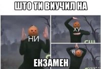 што ти виучил на екзамен