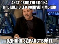 аист свил гнездо на крыше,но его сожрали мыши однако здравствуйте