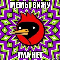 мемы вижу ума нет