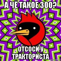 а чё такое 300? отсоси у тракториста