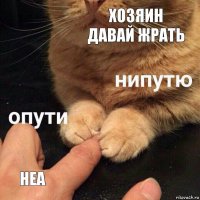 Хозяин давай жрать Неа