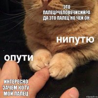 это палец?Человечисий?А да это палец но чей он, интересно зачем коту мой палец