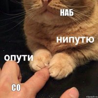 Наб Со