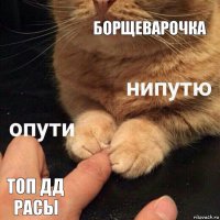 Борщеварочка Топ дд расы