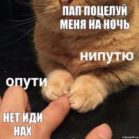 пап поцелуй меня на ночь нет иди нах