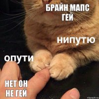 брайн мапс гей нет он не гей