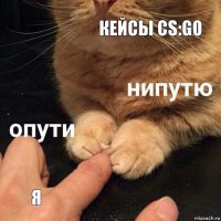 Кейсы CS:GO Я