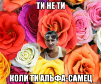 ти не ти коли ти альфа-самец