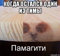 когда остался один из тимы 