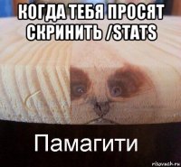 когда тебя просят скринить /stats 