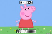 свинка вовка!!!!!!!!