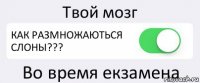 Твой мозг КАК РАЗМНОЖАЮТЬСЯ СЛОНЫ??? Во время екзамена