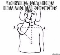 что нужно делать когда напала толпа кровососов? 