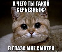 а чего ты такой серьёзный? в глаза мне смотри