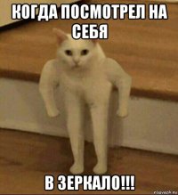 когда посмотрел на себя в зеркало!!!