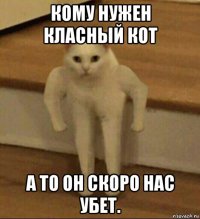 кому нужен класный кот а то он скоро нас убет.