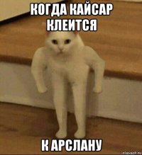 когда кайсар клеится к арслану