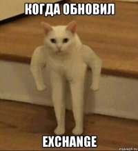 когда обновил exchange