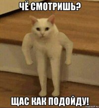 чё смотришь? щас как подойду!