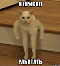 я присол работать