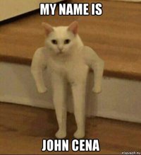 my name is john cena