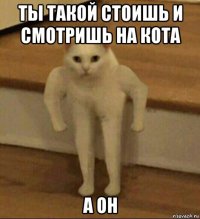 ты такой стоишь и смотришь на кота а он