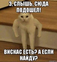 э, слышь, сюда подошел! вискас есть? а если найду?