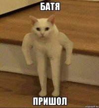 батя пришол