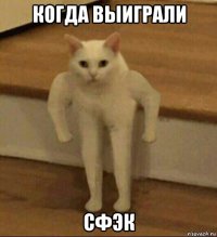 когда выиграли сфэк