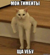 мои тимейты ща уебу