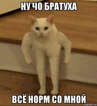 ну чо братуха всё норм со мной