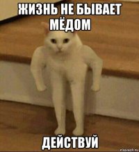 жизнь не бывает мёдом действуй