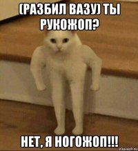 (разбил вазу) ты рукожоп? нет, я ногожоп!!!