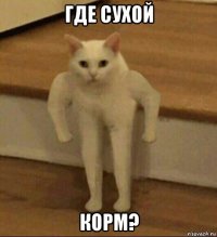 где сухой корм?