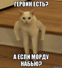 героин есть? а если морду набью?