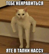 тебе ненравиться яте в тапки нассу