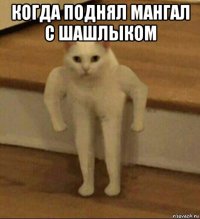 когда поднял мангал с шашлыком 