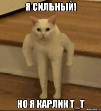 я сильный! но я карлик т_т