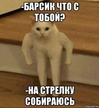 -барсик что с тобой? -на стрелку собираюсь