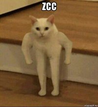 zcc 