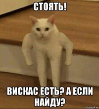 стоять! вискас есть? а если найду?