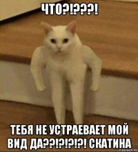 что?!???! тебя не устраевает мой вид да??!?!?!?! скатина