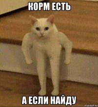 корм есть а если найду