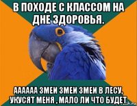 в походе с классом на дне здоровья. аааааа змеи змеи змеи в лесу, укусят меня , мало ли что будет