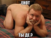 енот ты де ?