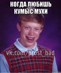 когда любишь кумыс мухи 